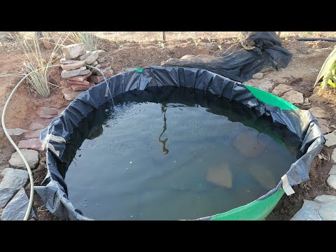 adding fish to our homestead and we played badminton 🏸