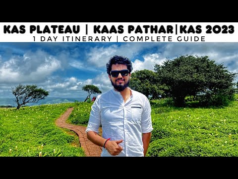 Kaas Plateau | Kaas Pathar | 1 Day Itinerary | Budget HomeStay | Complete Guide | Flower Valley