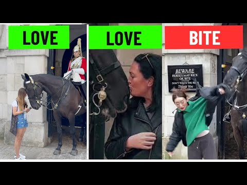 King's Guard Horse Special Moment With Native American Lady || King's Guard Horse Best Moments