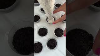 Cookies and cream dessert cups! #dessert #oreo #nobake