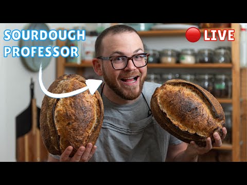 What it's like to be a Sourdough Professor?