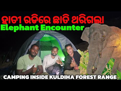 ହାତୀ ରଡିରେ ଛାତି ଥରିଗଲା 😳| Elephant Encounter | Night Camping Inside Kuldiha Wildlife Scantuary |