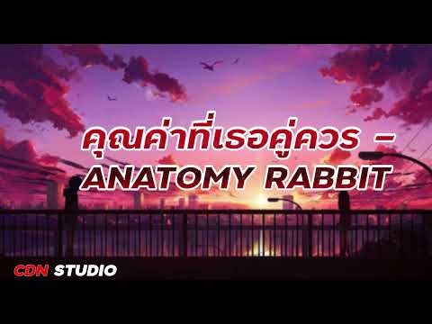 คุณค่าที่เธอคู่ควร   ANATOMY RABBIT  เนื้อเพลง