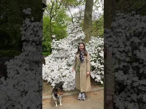 this is your sign to go enjoy the spring flowers in central park  #ootd #centralpark #nyc