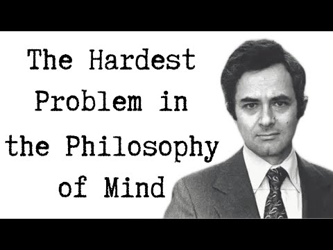 What is it Like to be a Bat? - the hard problem of consciousness