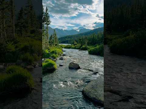 Hmm 🤔 Mosquito-pocalypse? #explore #mountains #colorado #nature #travel #fyp #shorts #hiking #hike