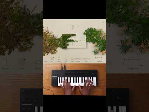 Hypha | Sound Demo | Part 6 #vst #nativeinstruments #kontakt