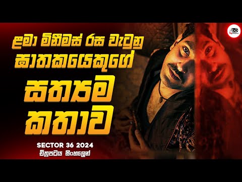 ළමා මිනීමස් රස වැටුනු දාම ඝාතකයෙකුගේ සත්‍යම කතාව 😱🔥|  2024 Movie Explained by Ruu Cinema new