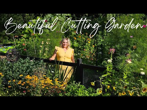 Bountiful Raised Bed Garden FULL of Flowers & Vegetables (Only 3 Months Old!). Vego Garden Tour