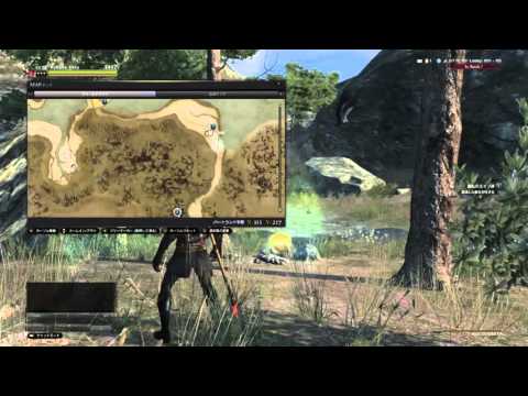 【DDON】バートランド平原の未公開クエストの場所