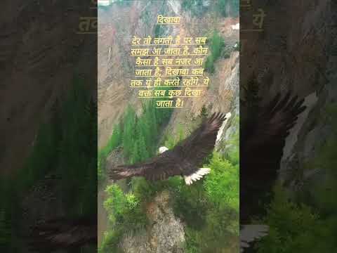 दिखावा...#motivation #suvichhar #shortvideo #short