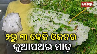 Mayurbhanj witnesses rain, hailstorm and thunderstorm | Kalinga TV