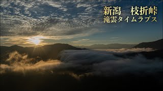 新潟の絶景 - 枝折峠 滝雲タイムラプス 4K