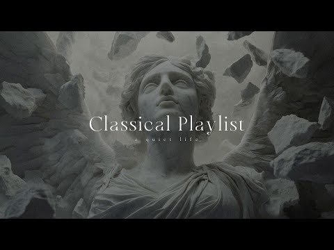 a calm playlist for a quiet morning