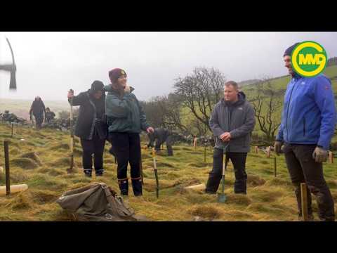 MMD GPHC Tree Planting