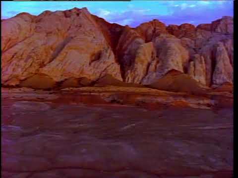 [LD 60fps] Natural Selections: A Sampler of Miramar's Best-Selling Video Albums (1993) [Re-upload]