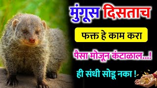 मुंगुस दिसल्यास करा हे 1 काम 😱💸 मुंगूस बनवेल करोडपती | #swamisamarth | Swami Samarth