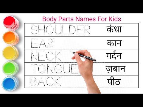 मानव शरीर के अंगों के नाम || Body parts name || Human body parts name in english and hindi