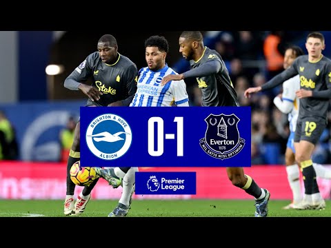 BRIGHTON 0-1 EVERTON | Premier League highlights