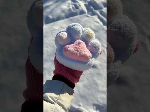 *RESULTS* Leaving My TABA SQUISHY in the SNOW for 24 HOURS! 😱☃️🥶