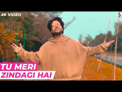 Tu Meri Zindagi Hai - Siddharth Slathia | Kartik Aaryan, Sreeleela