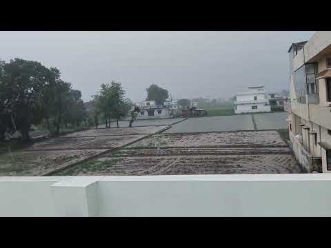 #shortsvideo बहुत तेज बारिश हो रही है देहरादून मे #dehradun #uttarakhand ☔☔🌂