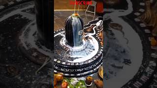 He Shiv Shankar he parmeshwar #viral #shorts #trending #shri_mahakaleshwar_jyotirlinga_ujjain