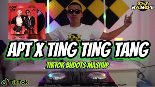 APT X TING TING TANG (TikTok Mashup Budots 2024) | Dj Sandy Remix