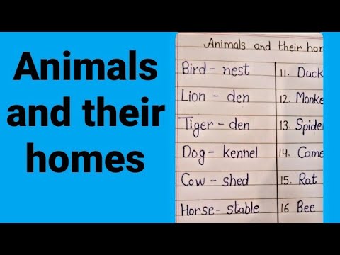 Animals and their homes | Animals Home | Animals Home Name | #OM STUDIES