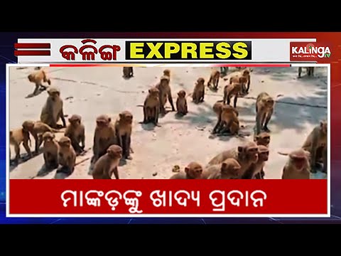 Kalinga Express || News Bulletin || March 17, 2025 || Kalinga TV