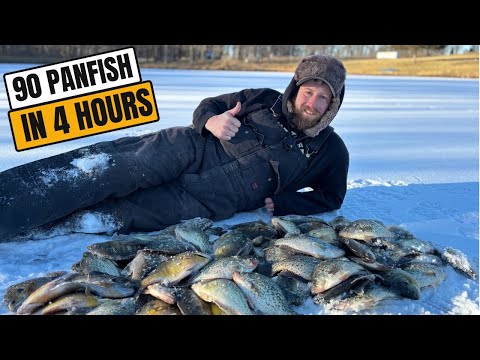 MASSIVE Ice Fishing Haul To Save This Lake!