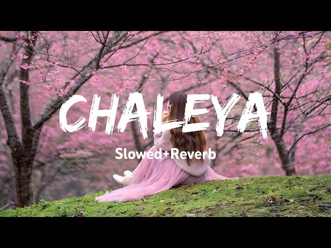 Chaleya slowed Reverb lofi song jawan song Arijit Singh jawan chaleya song by Arijit Singh slowed