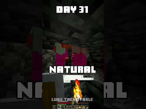 100 Days - [Minecraft Shorts] - Day 31 #minecraft #100days