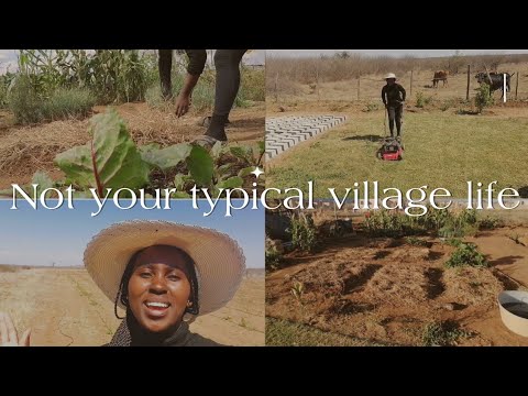 Young couple builds a different village lifestyle | Homestead living in South Africa