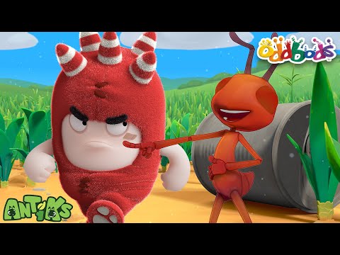 Antiks? Oddbods? | Oddbods & Antiks | Funny Cartoons for Kids