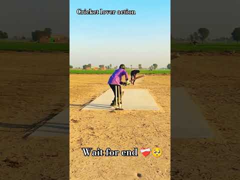 #cricket #cricketlover #viral #viralreels #siraj #viratkohli #short #shorts