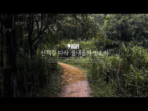 The sound of rain along the walking path filled with the scent of grass