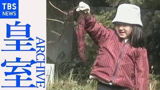 芋掘りを楽しまれる愛子さま（２００５年１１月）