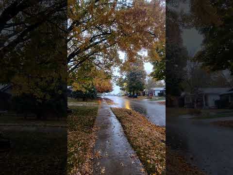 subhanAllah, it's so beautiful.  🍁🍂🌧 #fall #fallvibes #fallrain #fallvideos #fallaesthetic ##fall