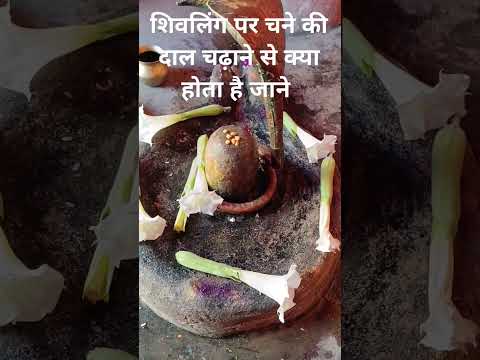 शिवलिंग पर चने की दाल चढ़ाने से क्या होता है जाने। #pradeepmishrakeupay #shortvideo #viralvideo