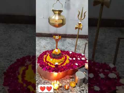 Mahadev ka Aashirwad aap sabhi per banaa rahe ❤️❤️🙏🏻🙏🏻🚩🚩❤️❤️❤️❤️