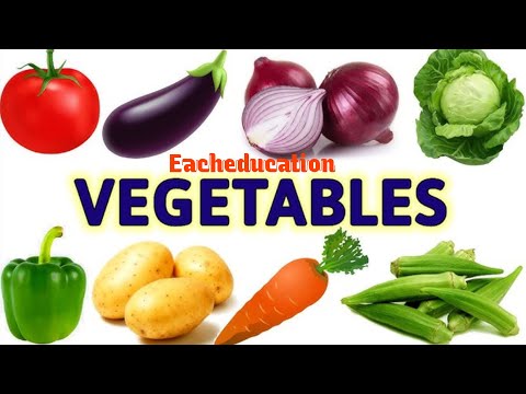 Learn 20 Vegetables Name Hindi & English Both | सब्जियों के नाम | Vegetables Names #vegetablesnames