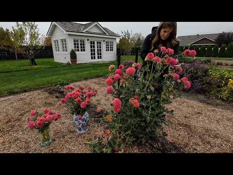 Digging Dahlias + Harvesting Statice & Acorn Squash! 🌸🙌🌿 // Garden Answer