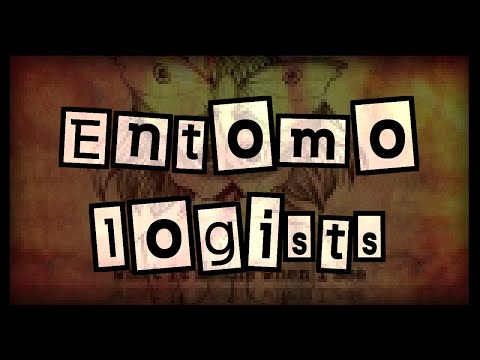 【Yami Ryone ENG】Entomologists【UTAU Cover】