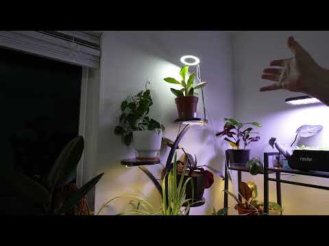 GLOWRIUM Grow Lights for Indoor Plants