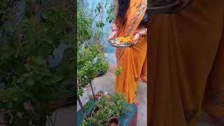 Jay Tulsi Maiya bhakti video