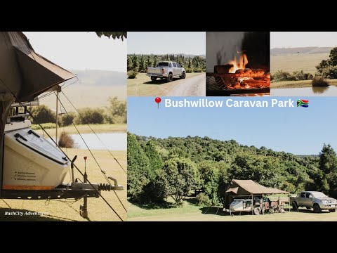 Last minute camp site saved the day 😱 Bushwillow Caravan Park, KZN 🇿🇦