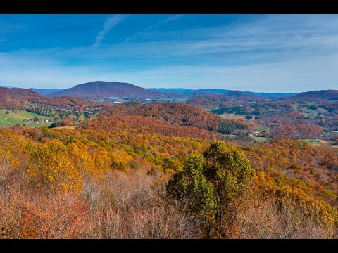 NC Mountain Home Site Big Tree