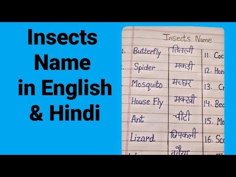 Insects Name in Hindi and English | कीड़े मकोड़े के नाम इंग्लिश और हिंदी में | #OM STUDIES