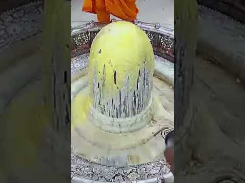 Mahakal || Ujjain Mahakal || Mahakaleshwar lingashtakam || Mahakal Rudrastakam || Shiv Stotram ||